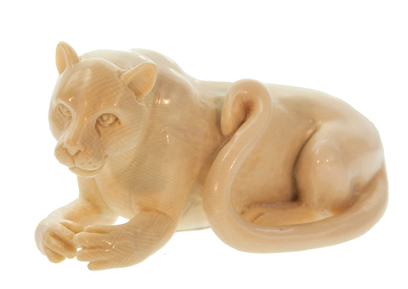 Fossil Mammoth and Walrus Ivory