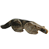 Cougar Zuni Fetish in Devonian Fossil Coral