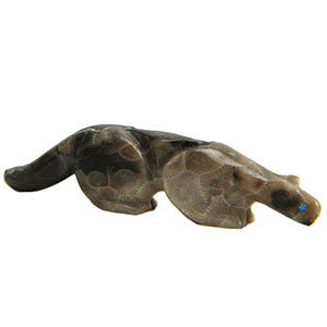 Cougar Zuni Fetish in Devonian Fossil Coral
