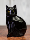 Black Onyx Cat with Yellow Eyes