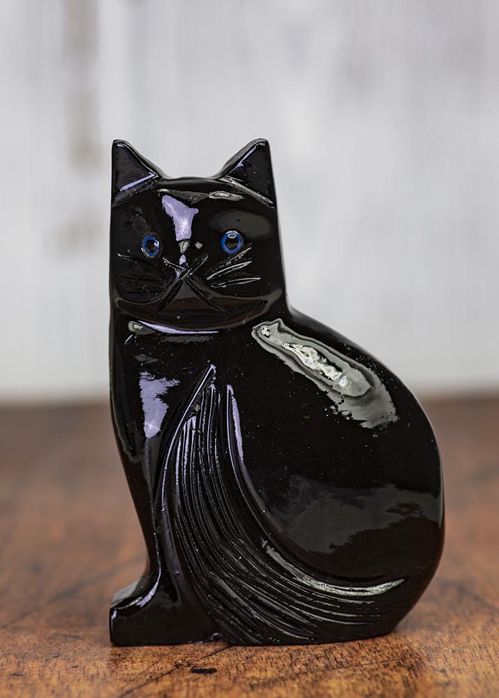Black Onyx Cat with Blue Eyes