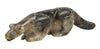 Cougar Zuni Fetish in Fossil Devonian Coral | Whisperingtree.net