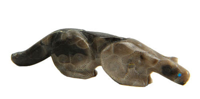 Cougar Zuni Fetish in Fossil Devonian Coral | Whisperingtree.net
